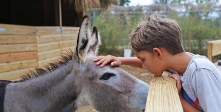 Super Bowl 2019 in Laguna SOV