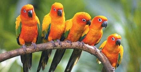 Pet zoo opening soon at Sosua Ocean Village! Pet zoo opening soon at Sosua Ocean Village!