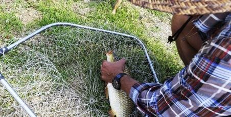 Great news! Our fishing lagoon is opening on July 14th 2018! Great news! Our fishing lagoon is opening on July 14th 2018!