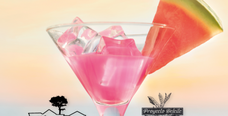 Drink Testing en el bar Barco! Drink Testing en el bar Barco!