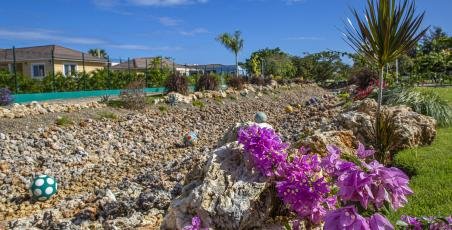 Dry Creek at Sosua Ocean Village.