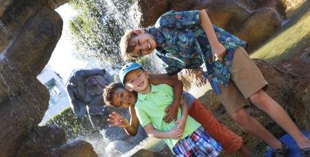 New Safari Park New Safari Park