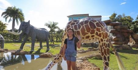 New Safari Park New Safari Park