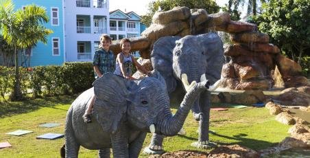 New Safari Park New Safari Park