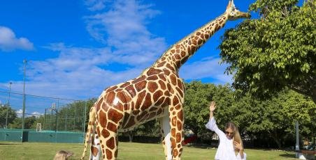 New Safari Park New Safari Park