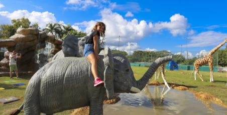 New Safari Park New Safari Park