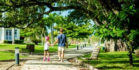 Golf-carts - Segways - Bicycles rentals Golf-carts - Segways - Bicycles rentals