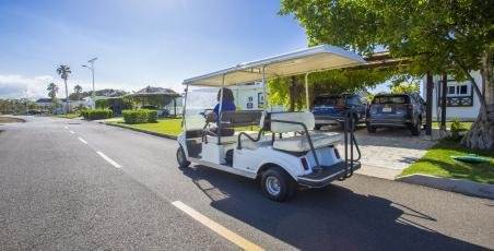 Golf-carts - Segways - Bicycles rentals Golf-carts - Segways - Bicycles rentals