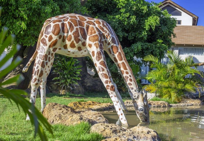 Safari park at Sosua Ocean Village Safari park at Sosua Ocean Village